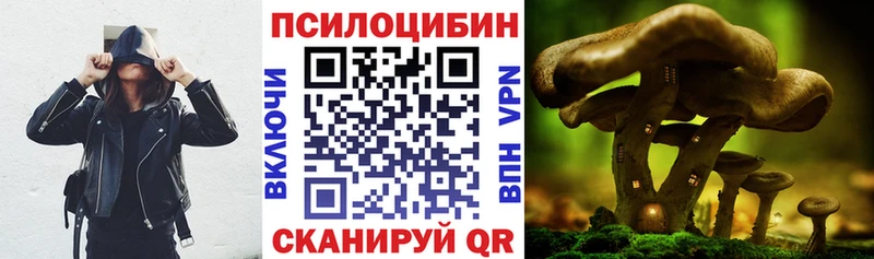 Купить закладки  Темников  Галлюциногенные грибы MAGIC MUSHROOMS 