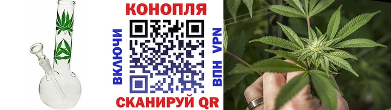 Купить закладки  Темников  МАРИХУАНА ГИДРОПОН 